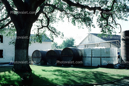 Wood, Wooden Barrels, Fermenting Tanks