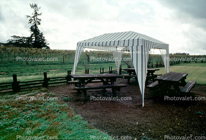 Tent, Picnic Benches