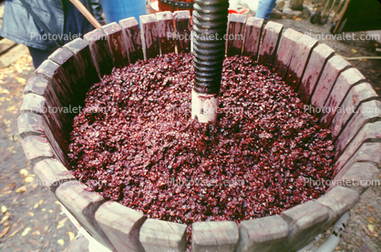 press, crusher, crushing, red grapes