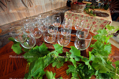 Wine Glasses, Grape Leaves, Sonoma County