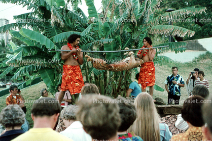 Pig Roast, Luau, 1960s