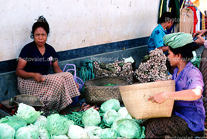 cabbage, Ubud, Bali