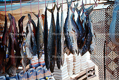 Fresh Fish, Bangkok, Thailand