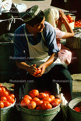 Tomatoe, harvest, Uzbekistan