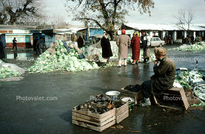 Man, Male, Cold, Vegetables, Cabbage, Samarkand, Uzbekistan