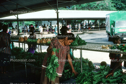 Rabaul, Papua New Guinea, Open Air Market