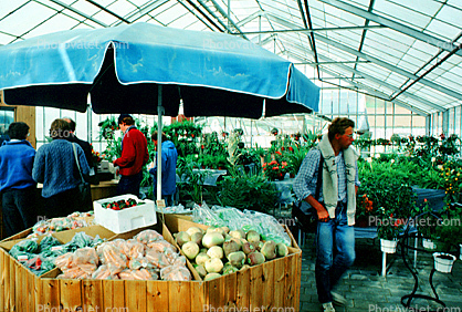 Vegetables, Glasshouse, Greenhouse, Hveragerdi, Hverager i, Iceland