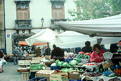 Cabbage, Open Air Market, Oviedo, Spain