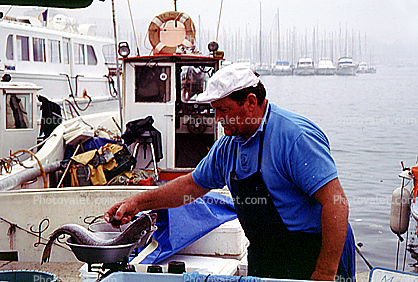 Fish, Seafood, Cleaning, Man, Fisherman, Marseille, France