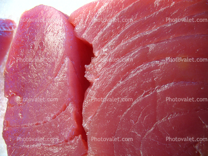 Raw Tuna Fish Steaks, Sushi, Fillet, Meat