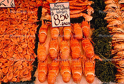 Fancy Whole Cooked Lobster, Farmers Market
