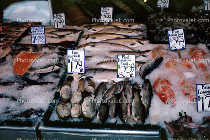 Farmers Market, Frozen Fish