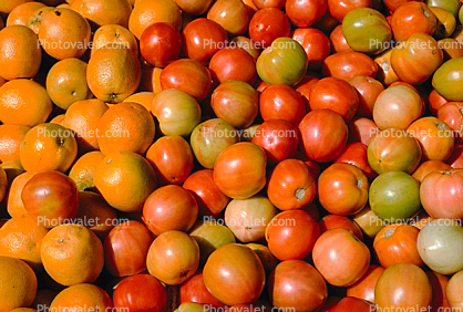 tomato, texture, background, oranges