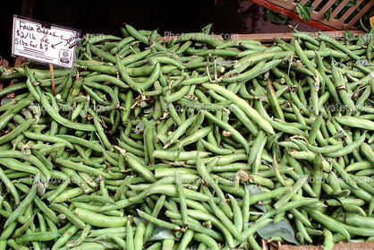 Fava Beans, texture, background, Legumes