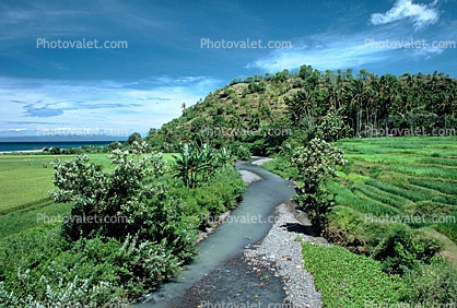 River, Island of Bali