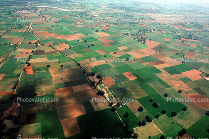 Fields near Amadabad, patchwork, checkerboard patterns, farmfields