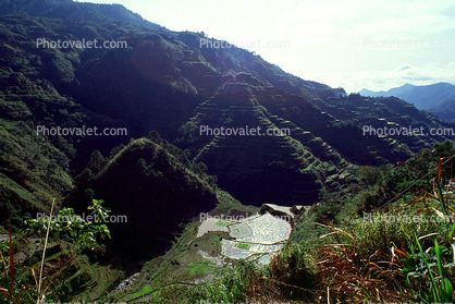 Rice Terraces in the Mountains, Hills