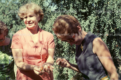 women, beehive hairdo, 1960s