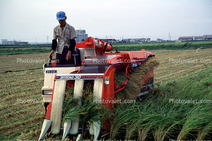 Harvesting, Harvester, Mechanized Farming