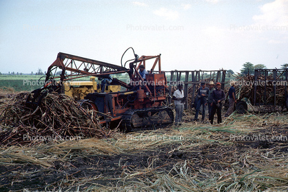 Sugercane, Tractor, Mechanized Farming, Machine, Heavy Equipment