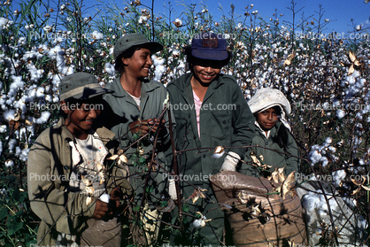 Smiling Boys, Picking Cotton, hats, labor, workers