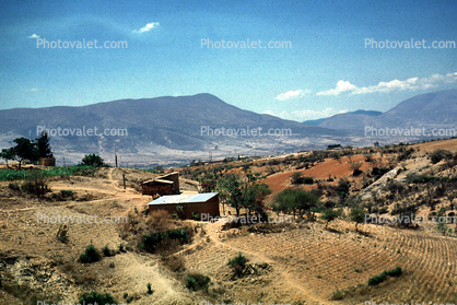 Homes, Hills, Mountains, fields, valley, buildings
