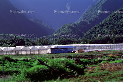 Greenhouse, valley
