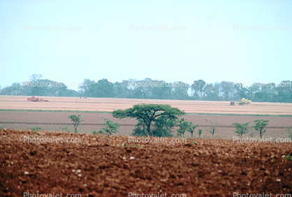 Farmlands in Zimbabwe
