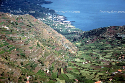 Funchal, Maderia, Canary Islands, 1950s