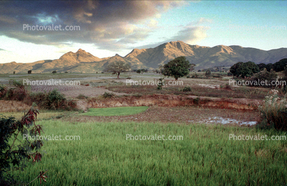Mountains, rice fields, Ambositra, Madagascar, Rice Paddy, field, water