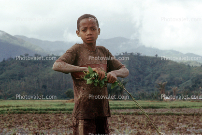 child labor, near Andrapa, Madagascar