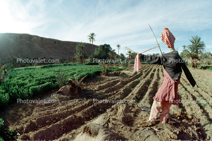Scarecrow in Algeria