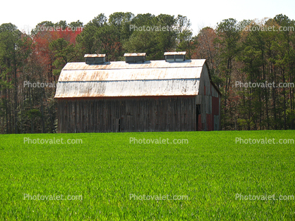 barn, Fields, southern Maryland