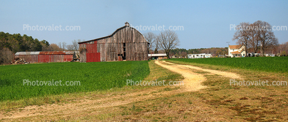 Barn, southern Maryland, Fields, Panorama