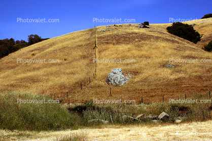 Hills, Fence, Boulder, Fields, Two-Rock, Sonoma County
