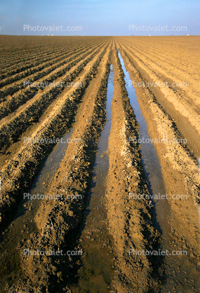 Dirt, Rows, Winter, Plowed Fields