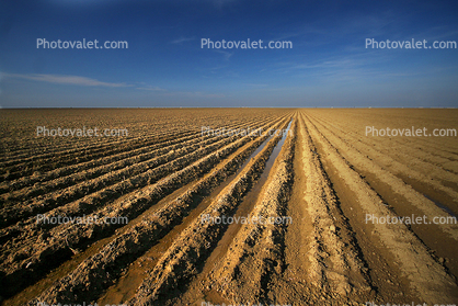 Dirt, Rows, Winter, Plowed Fields