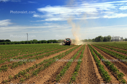 Tractor, Ferilizer, dust, tanks, fields