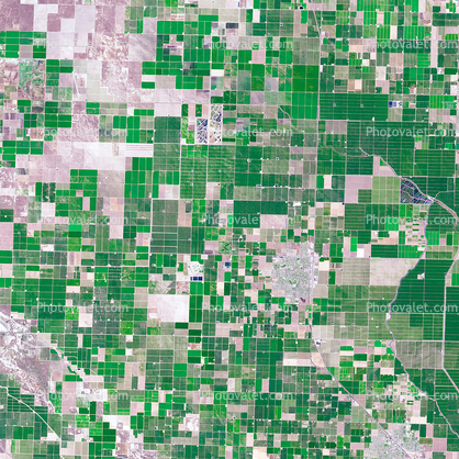 Quilt Patchwork, farm fields, Wasco, California, patchwork, checkerboard patterns, farmfields