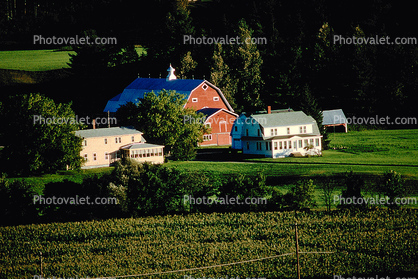Buildings, forest, Barn, Burklyn, Burke, Vermont