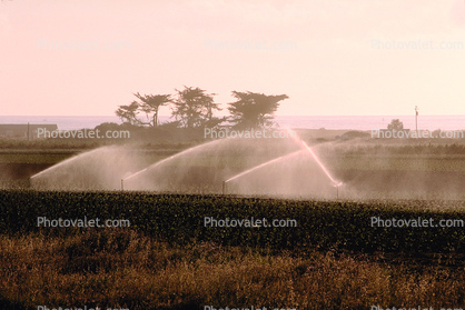 Water Irrigation, Sprinklers