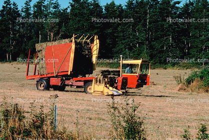 New Holland Buncher, Hay Bales, Whidbey Island, Dirt, soil