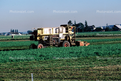 Swather, cutter, Whidbey Island, Windrower