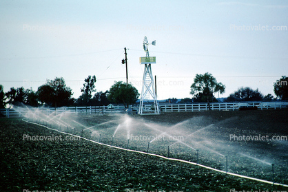 Sprinklers, Irrigation, Water, watering