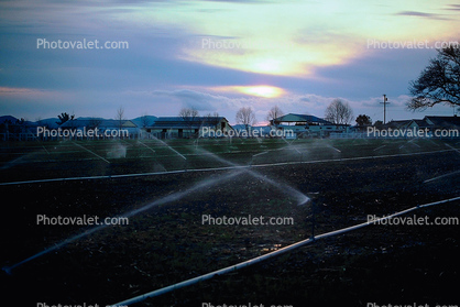 Sprinklers, Irrigation, Water, watering, Dirt, soil