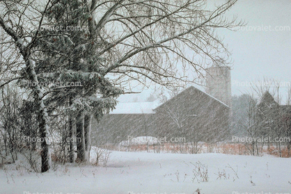 Barn and Silo, Snowing