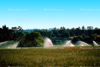 Sprinklers, irrigation, Fields