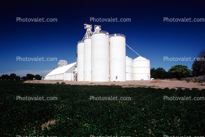 Grain Storage, Silo