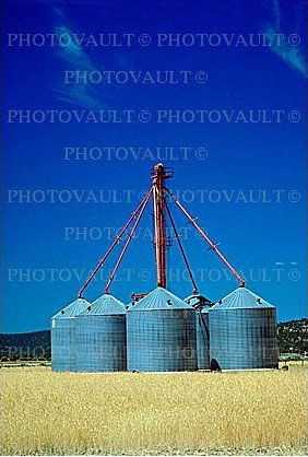 Wheat Fields, Dorris California