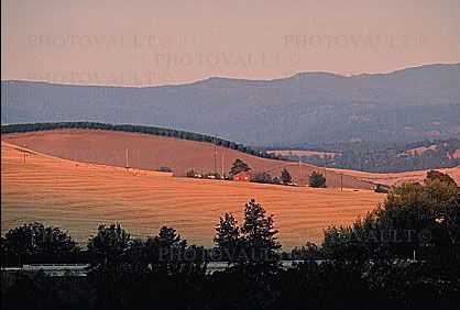 Early Morning, Hills, Dufur Oregon